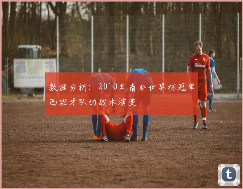 数据分析：2010年南非世界杯冠军西班牙队的战术演变