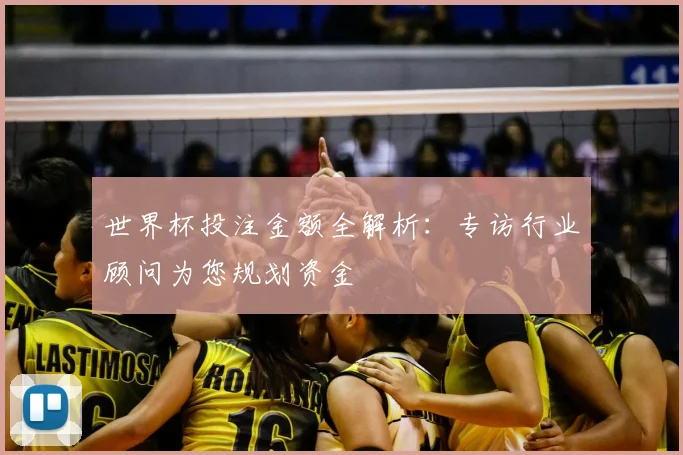 世界杯投注金额全解析：专访行业顾问为您规划资金