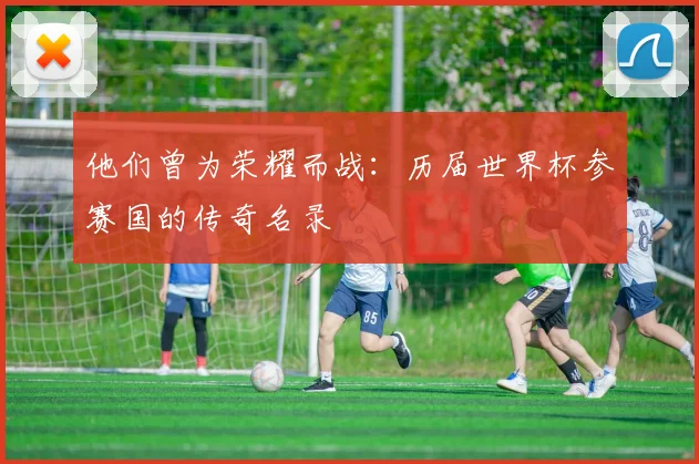 他们曾为荣耀而战：历届世界杯参赛国的传奇名录