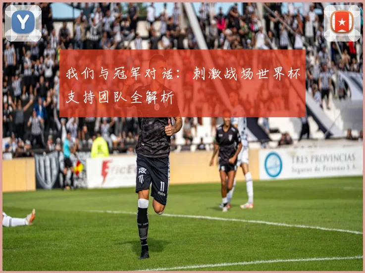 我们与冠军对话：刺激战场世界杯支持团队全解析
