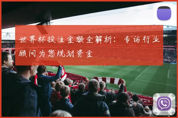 世界杯投注金额全解析：专访行业顾问为您规划资金