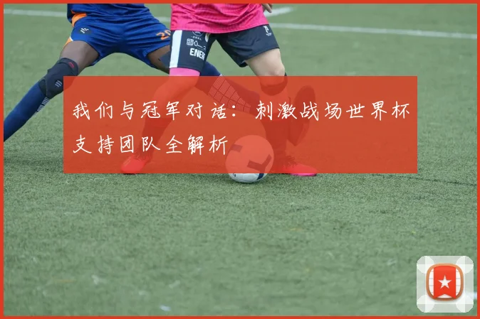 我们与冠军对话：刺激战场世界杯支持团队全解析