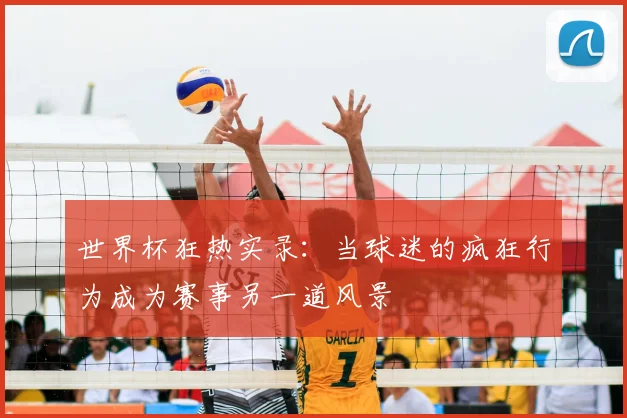 世界杯狂热实录：当球迷的疯狂行为成为赛事另一道风景