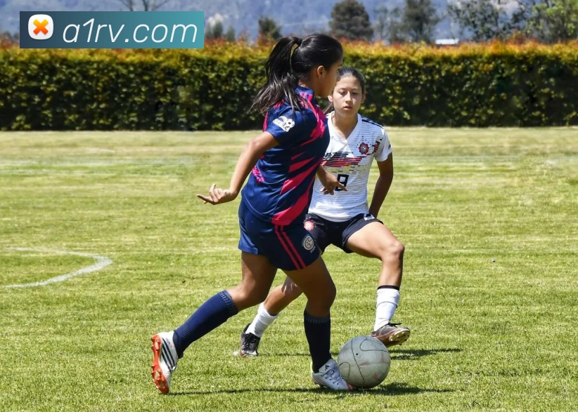 开云线上登录平台入口服务体系